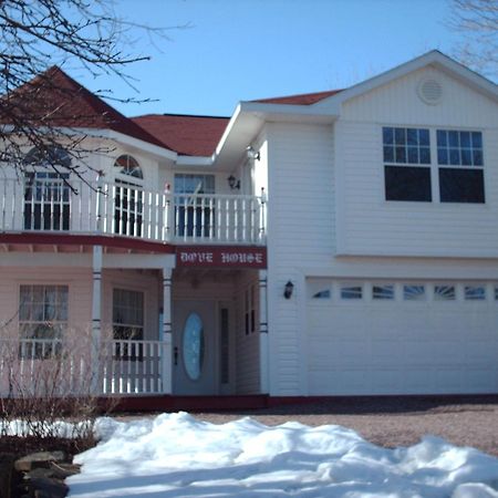 Dove House Bed & Breakfast Harbourside 노스 시드니 외부 사진