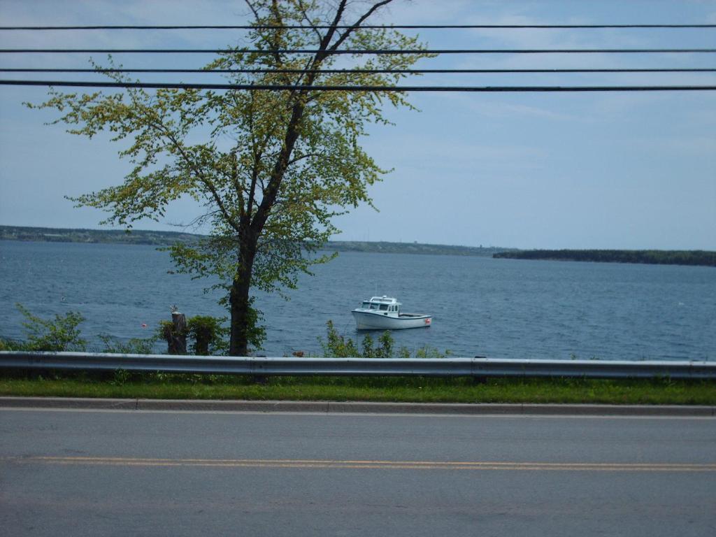 Dove House Bed & Breakfast Harbourside 노스 시드니 객실 사진