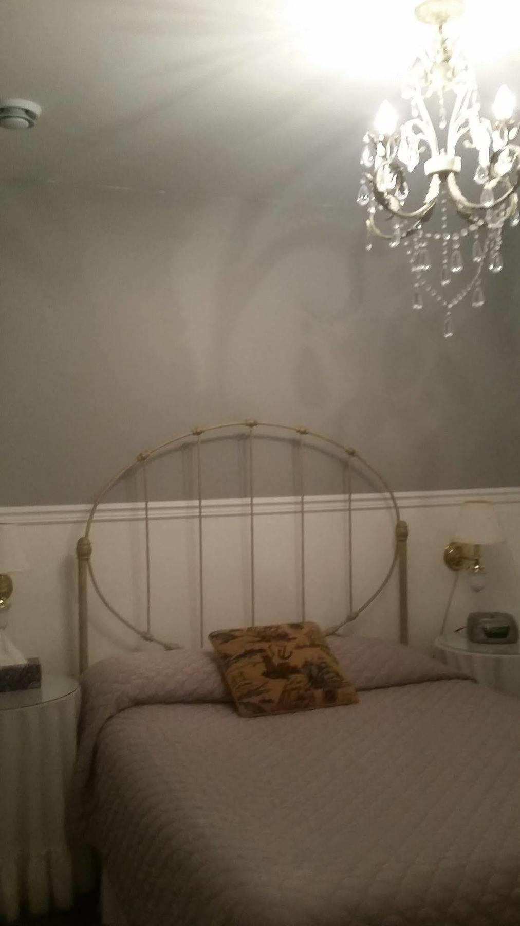 Dove House Bed & Breakfast Harbourside 노스 시드니 외부 사진